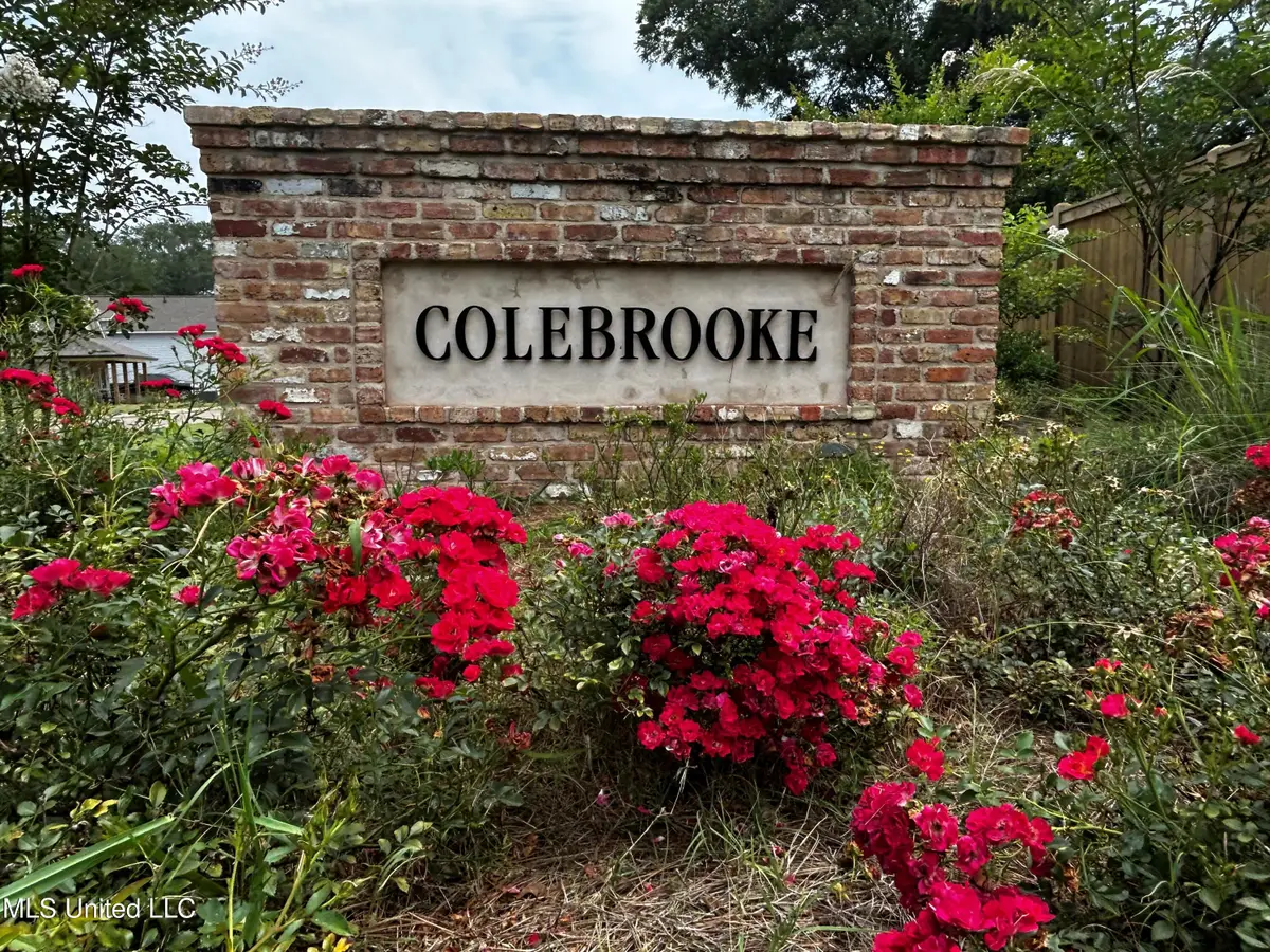 107 Colebrooke Cove, Florence, MS 39073 - Image #1