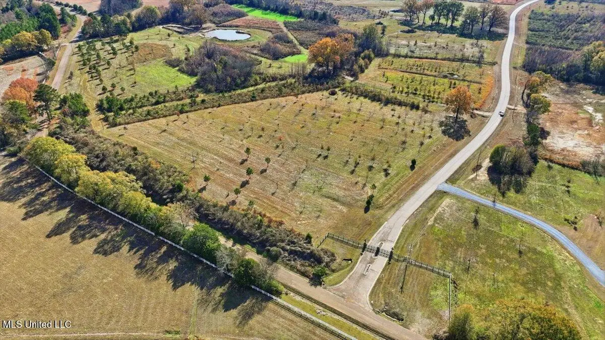 00008 Windermere Boulevard, Madison, MS 39110 - #1