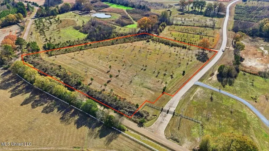 00008 Windermere Boulevard, Madison, MS 39110 - #2