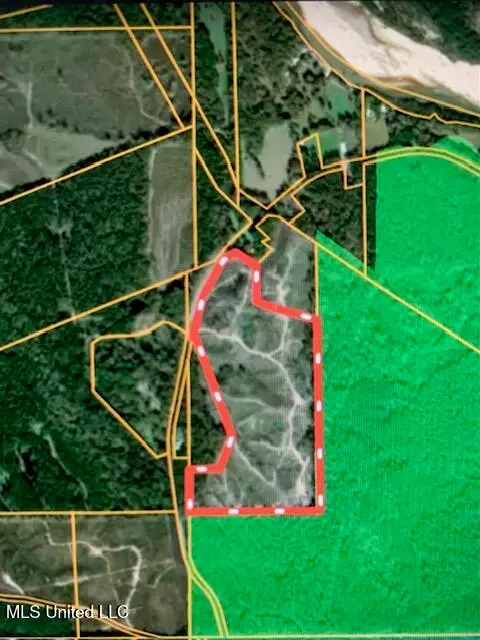 Tbd W Homochitto Road, Gloster, MS 39638 - #2
