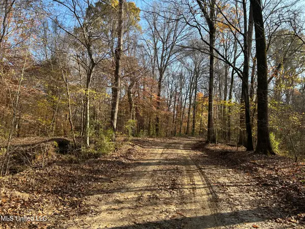 Henderson Road, Bentonia, MS 39040