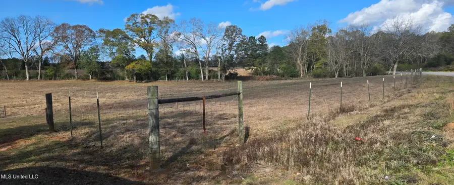 199 Airline Highway, Tylertown, MS 39667 - Image #2