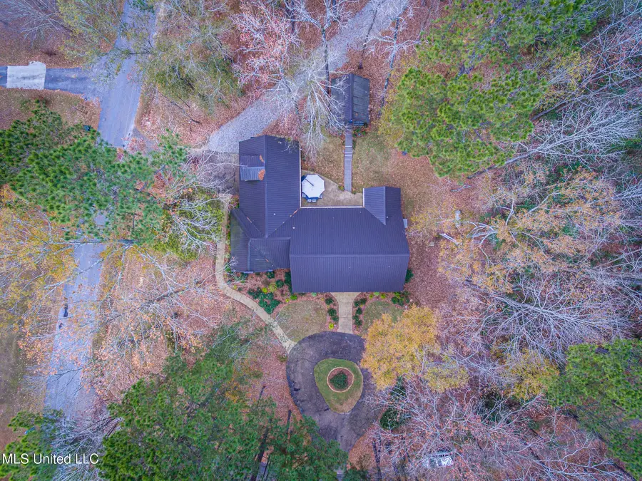 101 Jolisabi Road, Mendenhall, MS 39114 - #2