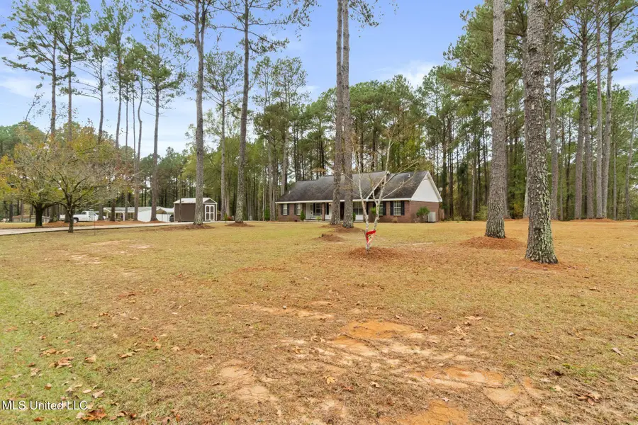 48 J Shows Drive, Seminary, MS 39479 - #2