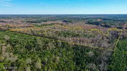 Ms 43, Canton, MS 39046 - Image #3