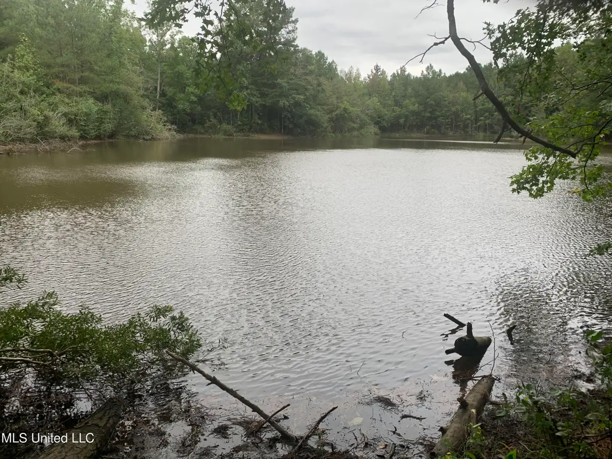 0 37th Street, Meridian, MS 39305 - Image #1