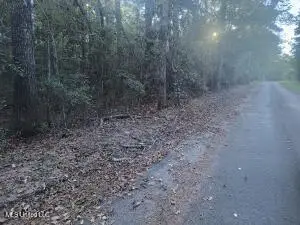 Azalea Lane, Ovett, MS 39464 - Image #3