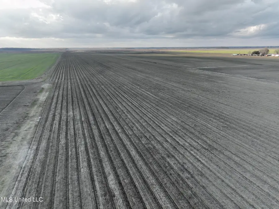 Bass Road, Louise, MS 39097 - Image #2