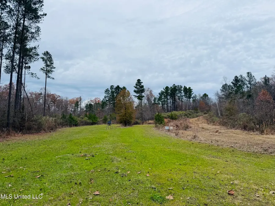 1445 Parsons Road, Raymond, MS 39154 - Image #3