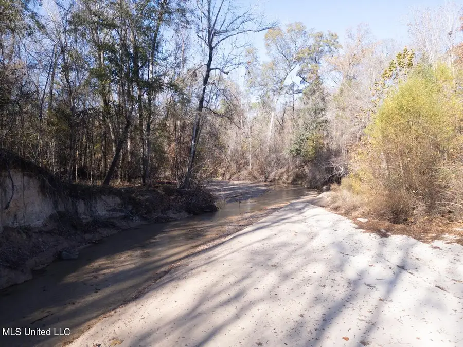 10787 Old Highway 24 Lane, Woodville, MS 39669 - Image #3
