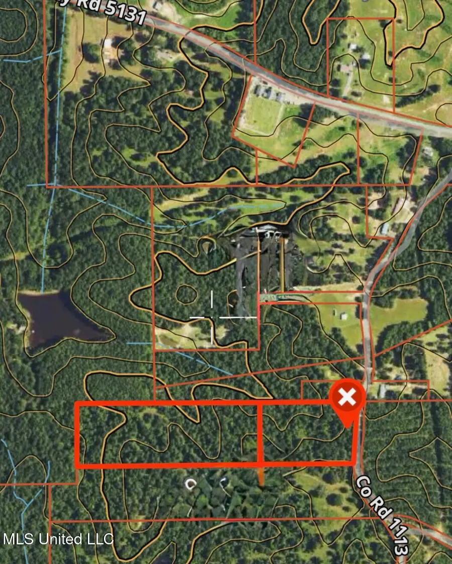 County Road 1113, Kosciusko, MS 39090 - Image #2