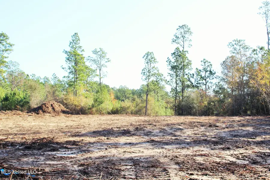2.48ac Jones Road, Lucedale, MS 39452 - Image #3