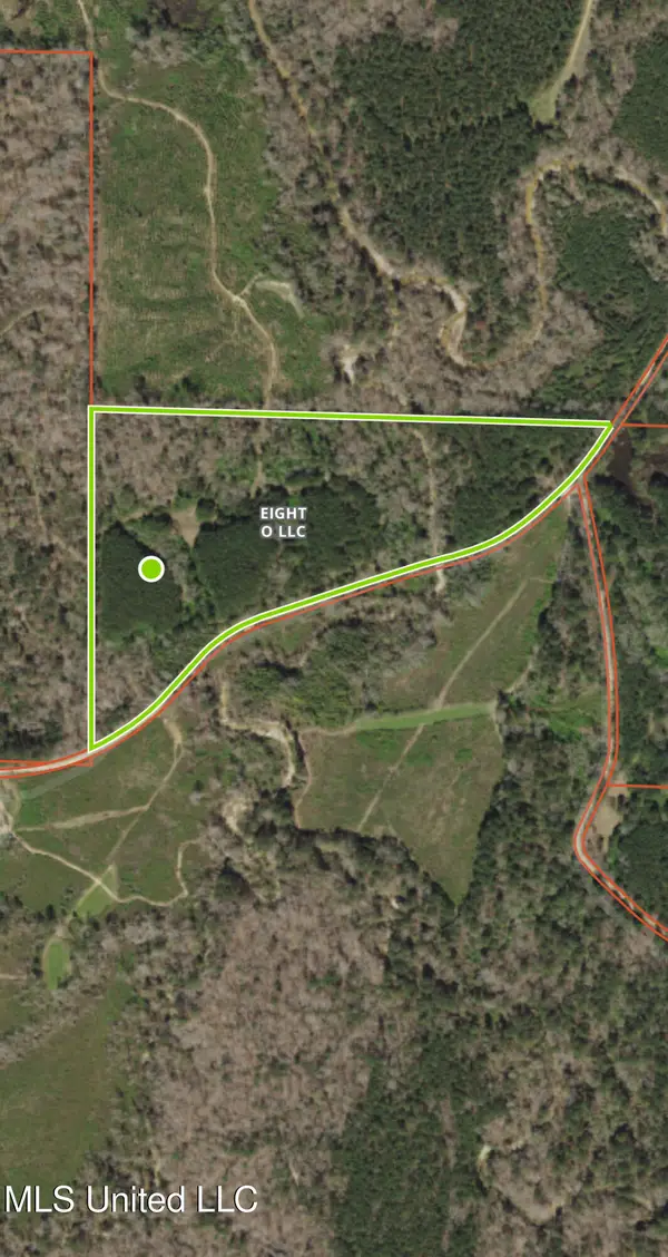 No Parsons Road, McCall Creek, MS 39647