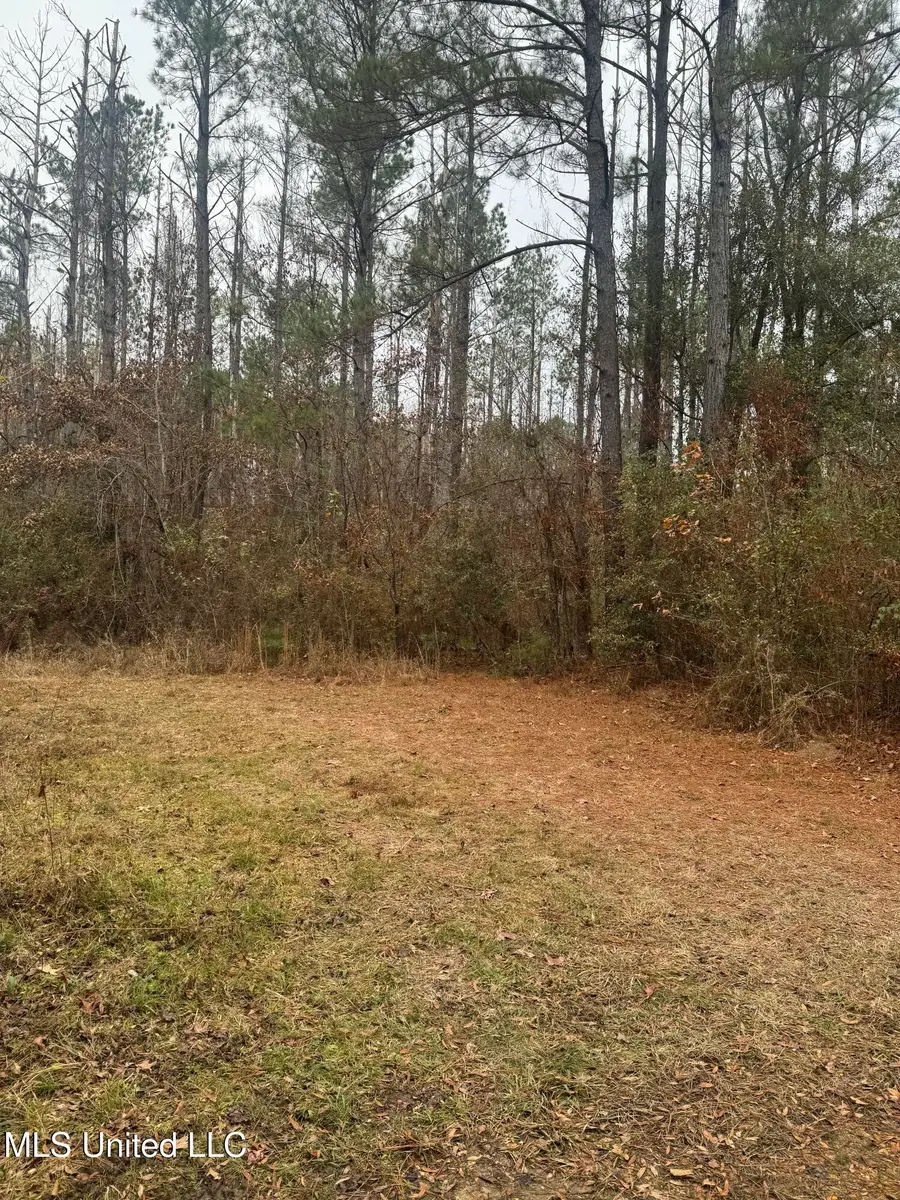 No Parsons Road, McCall Creek, MS 39647 - Image #2