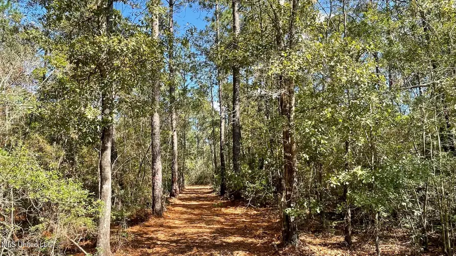 Old Hwy 49, Saucier, MS 39574 - Image #2