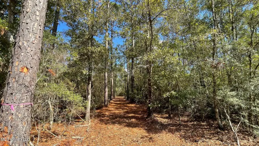 Old Hwy 49, Saucier, MS 39574 - Image #3