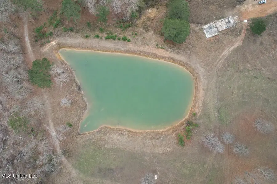 0 Coosa Road, Carthage, MS 39051 - Image #3