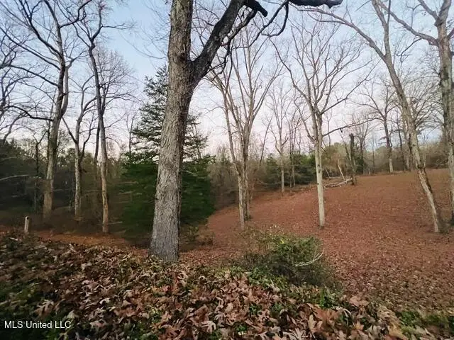 141 N Eagle Ridge Drive, Florence, MS 39073 - Image #2