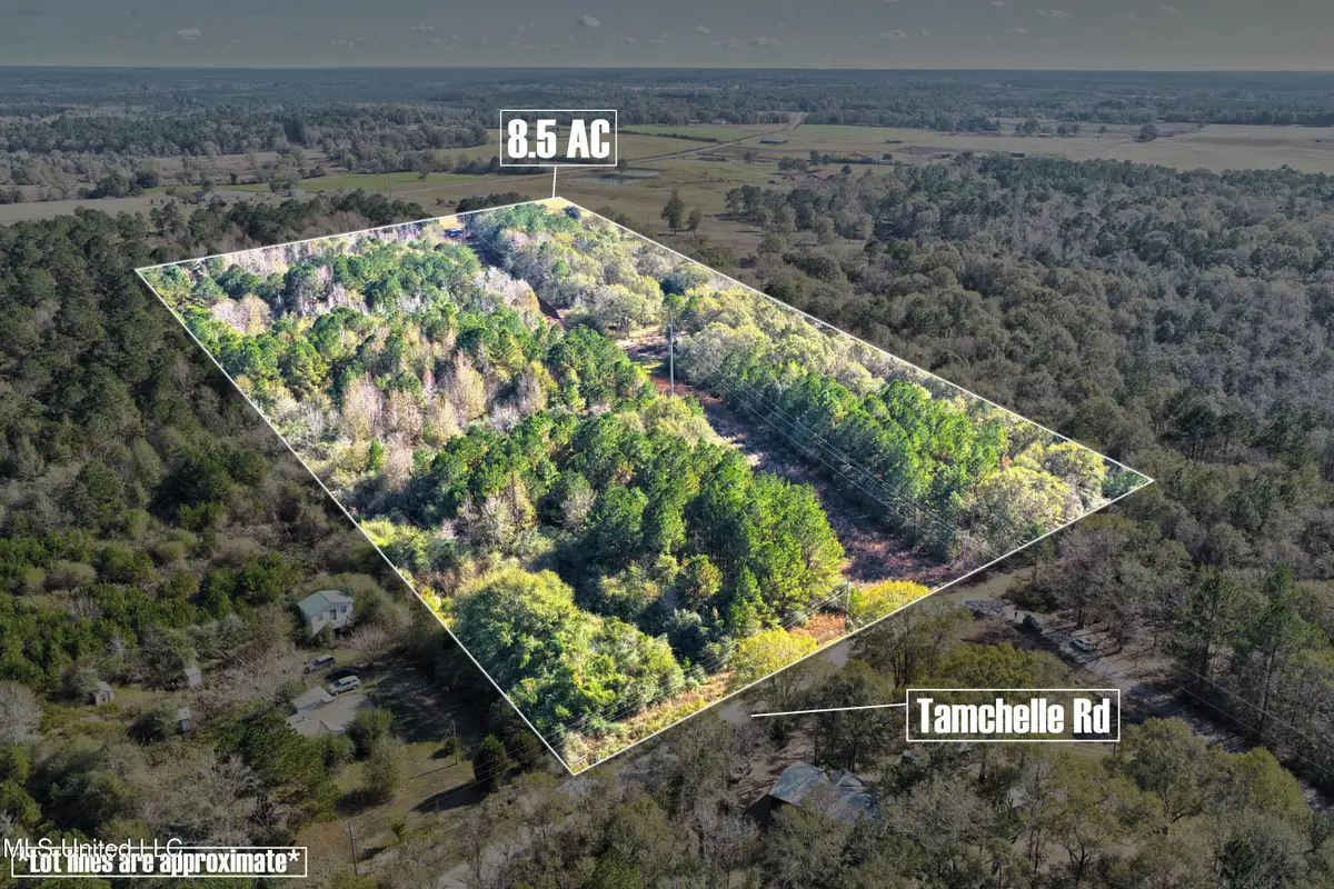Tamchelle Road, Lumberton, MS 39455 - Image #1
