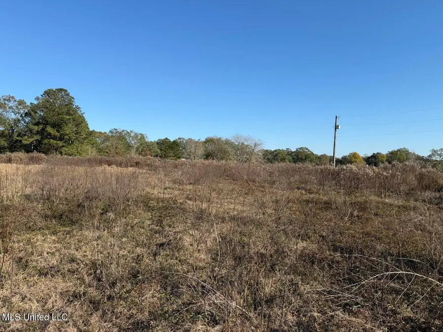 1.79 Acres Crenshaw Road, Lucedale, MS 39452 - #2