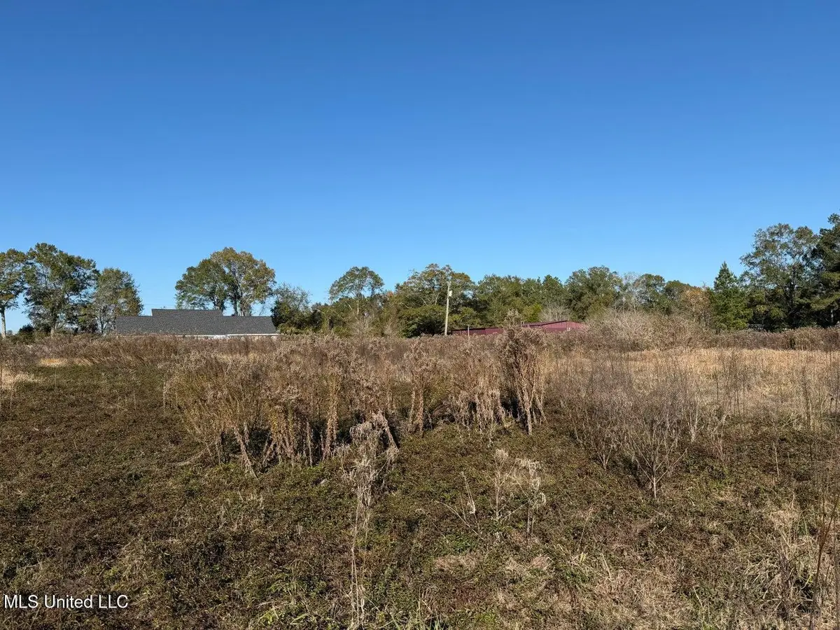 Parcel 2 Crenshaw Road, Lucedale, MS 39452 - #1