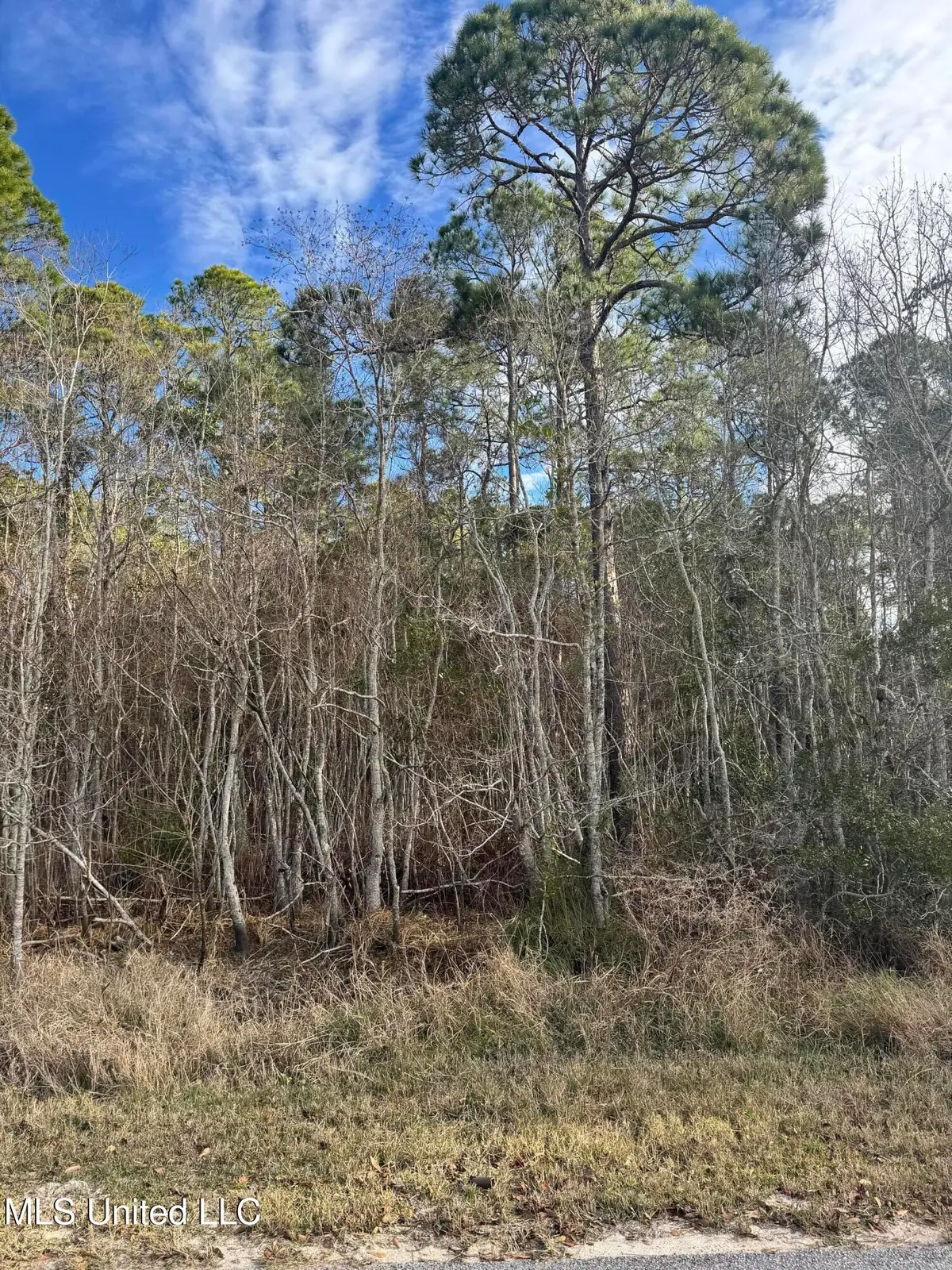 Lot 2221 Peach Street, Ocean Springs, MS 39564 - Image #1