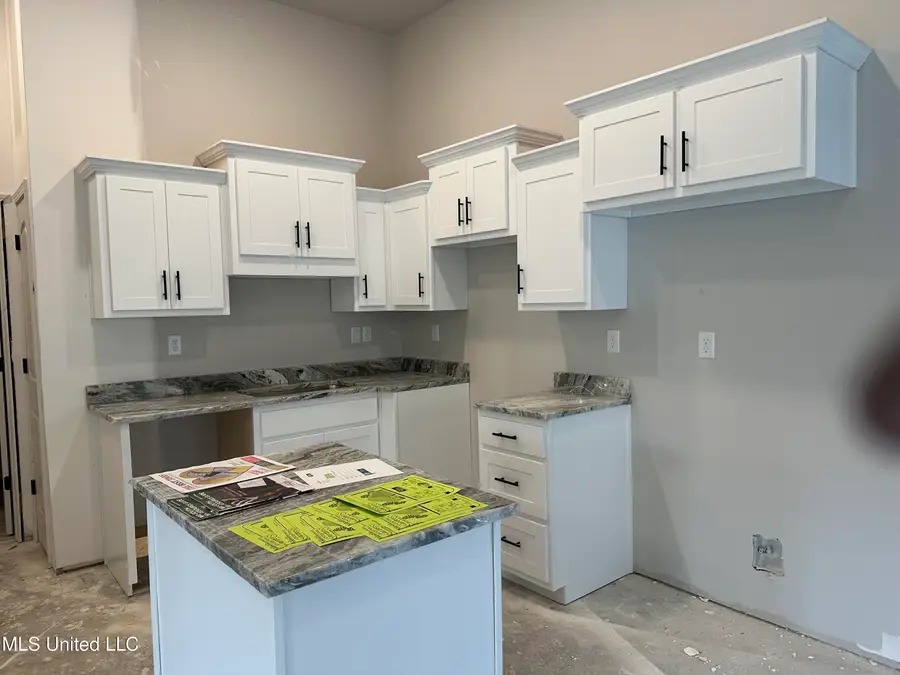 248 Flower Garden Drive, Southaven, MS 38671 - #3