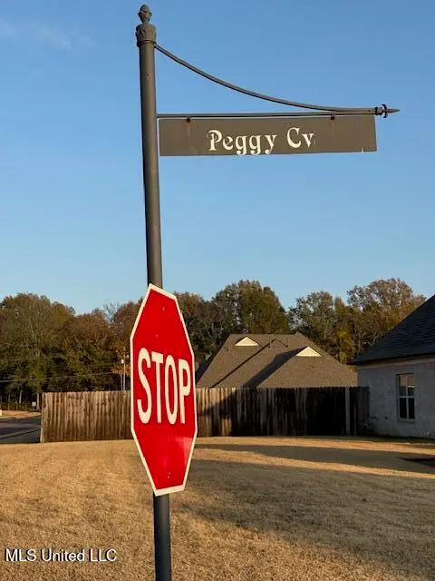 1123 Peggy Cove, Hernando, MS 38632 - Image #3