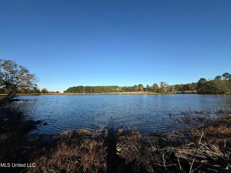 Mississippi 35, Kosciusko, MS 39090 - Image #3