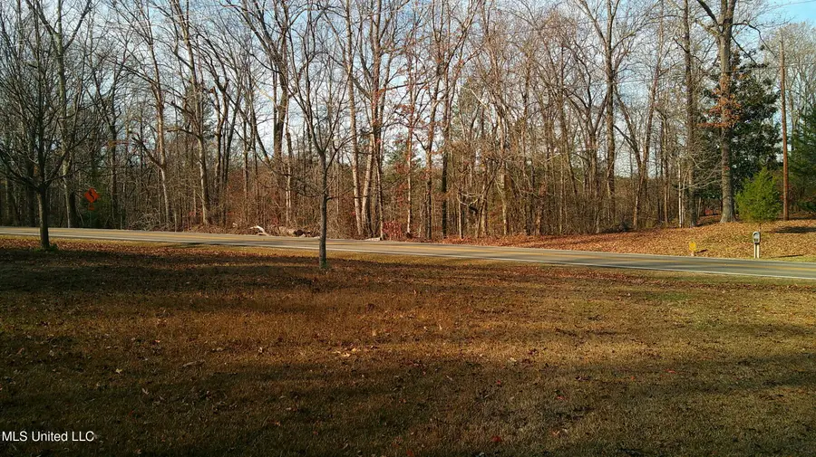 Hwy 9, Blue Springs, MS 38828 - Image #3