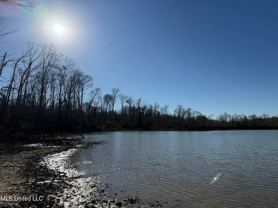 953 County Road 376, Carrollton, MS 38917 - Image #2