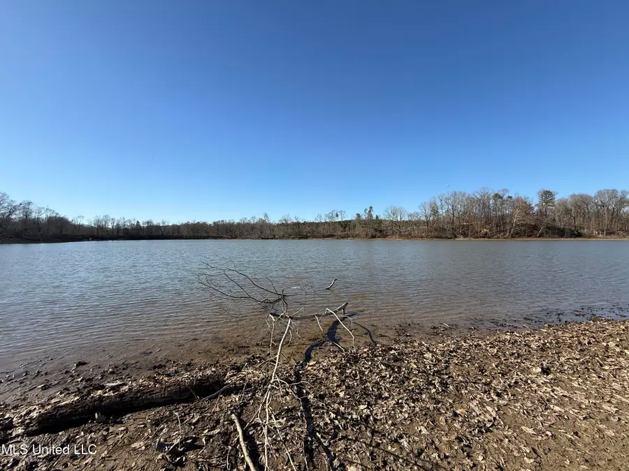 953 County Road 376, Carrollton, MS 38917 - Image #3