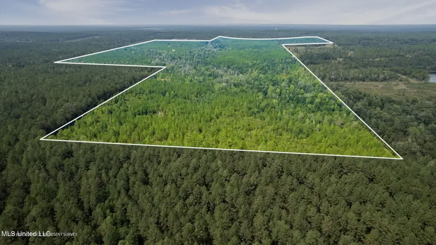 000 Rockhill To Lumberton Road, Purvis, MS 39475 - Image #3