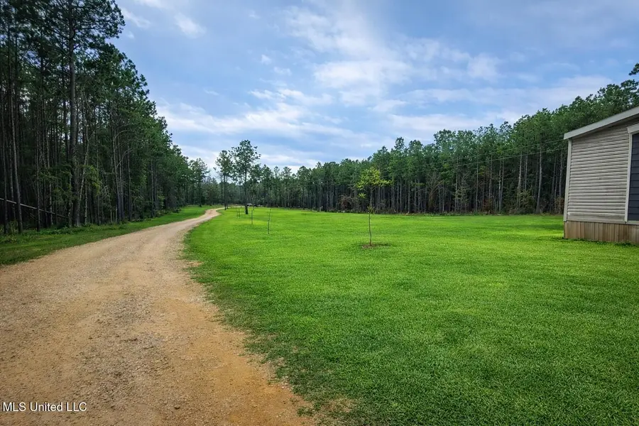 3774 Mississippi 550, Wesson, MS 39191 - Image #3
