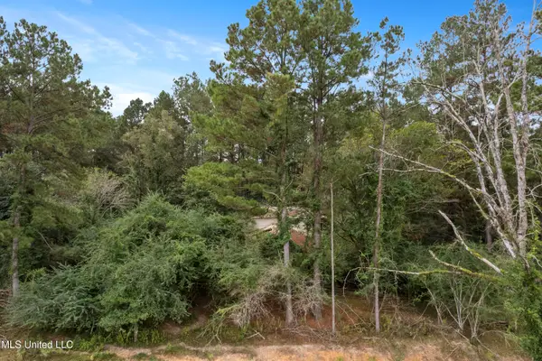 Parcel A Highway 42, Richton, MS 39476