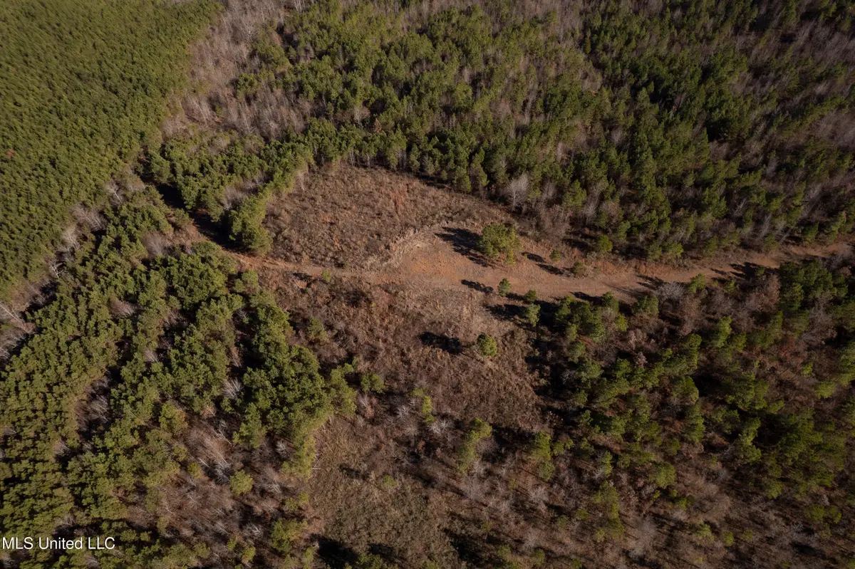 Cr 70, Woodland, MS 39776 - Image #1