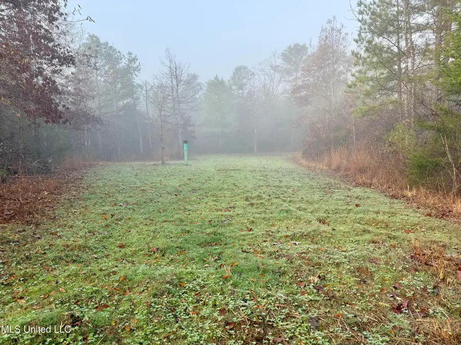 960 Old 51 Road, Pickens, MS 39146 - Image #2