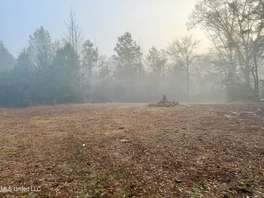 960 Old 51 Road, Pickens, MS 39146 - Image #3