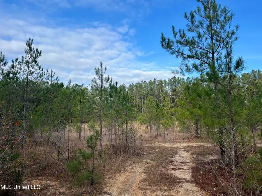 40 Acres Off Deep Creek Road, Wiggins, MS 39577 - Image #2
