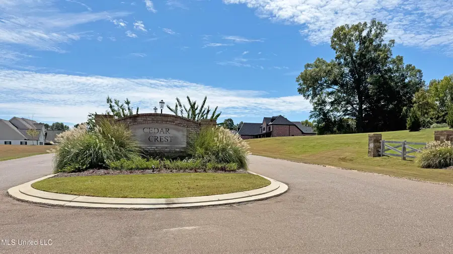 321 Cedar Crest Cove, Byhalia, MS 38611 - #3