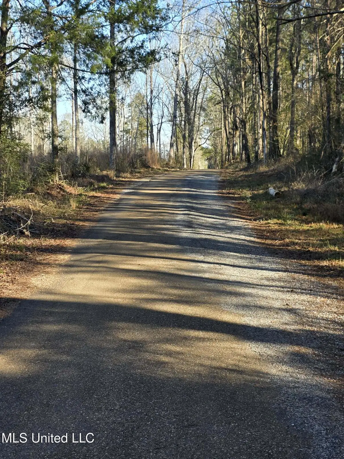 445 SE Hog Chain Drive, Bogue Chitto, MS 39629 - Image #1