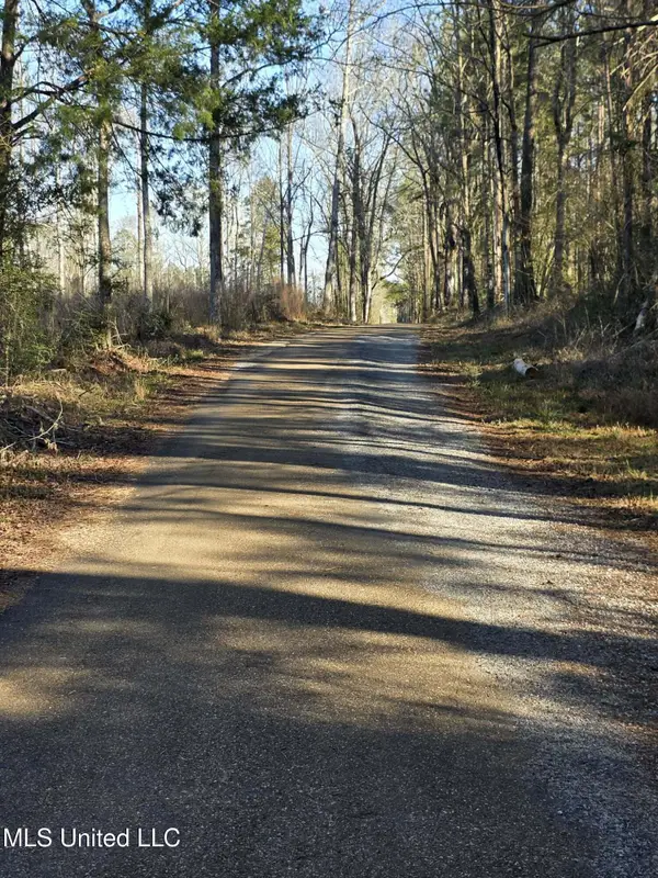 445 SE Hog Chain Drive, Bogue Chitto, MS 39629