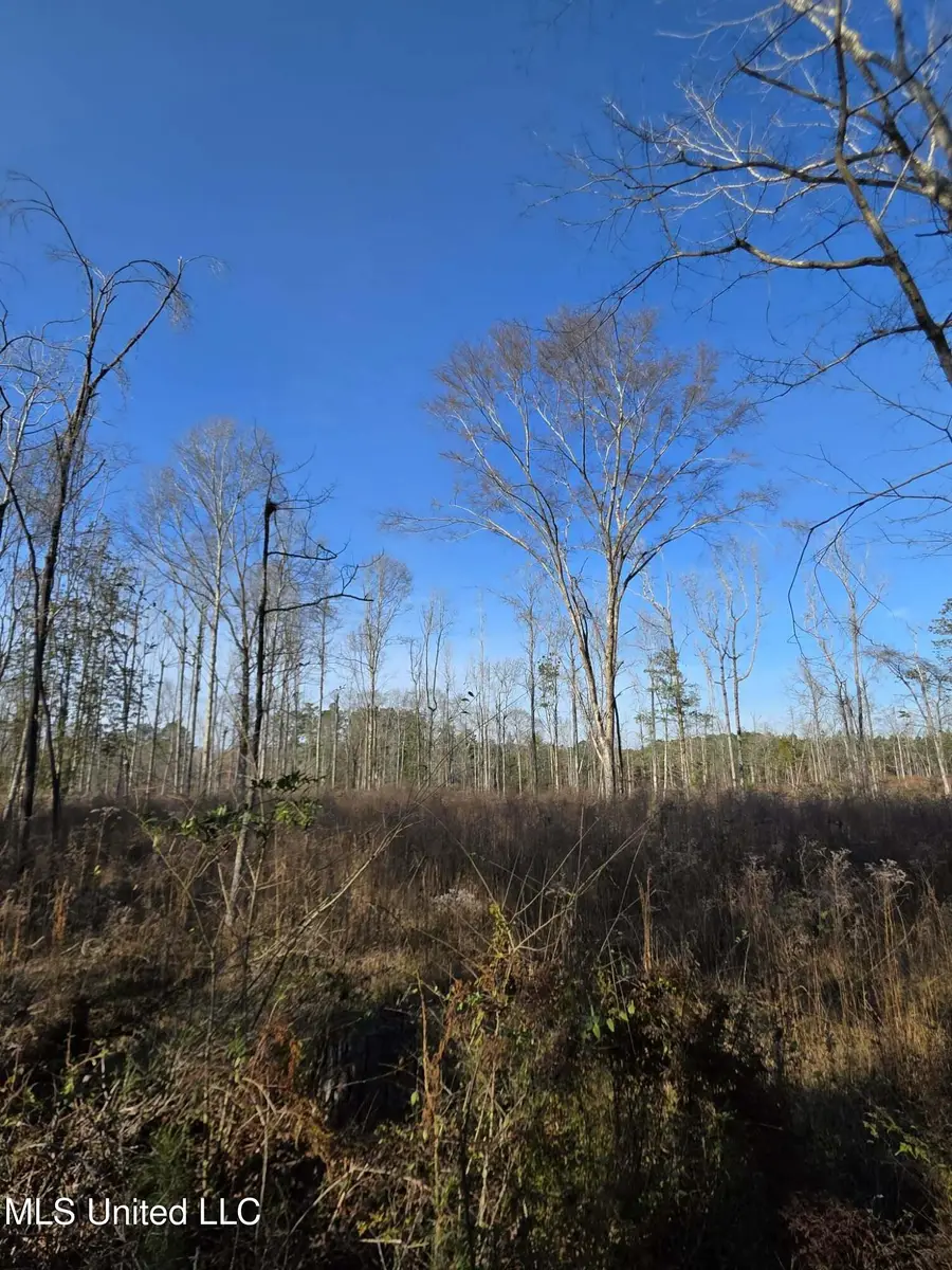 445 SE Hog Chain Drive, Bogue Chitto, MS 39629 - Image #2