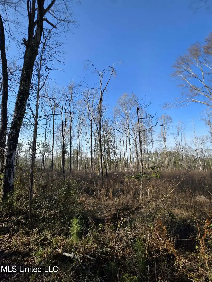 445 SE Hog Chain Drive, Bogue Chitto, MS 39629 - Image #3