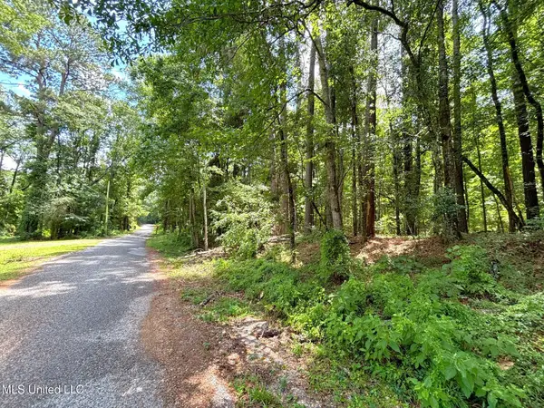 SE Freeman Road, Summit, MS 39666