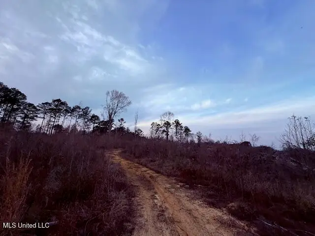 Morgantown Road, Foxworth, MS 39483 - Image #3