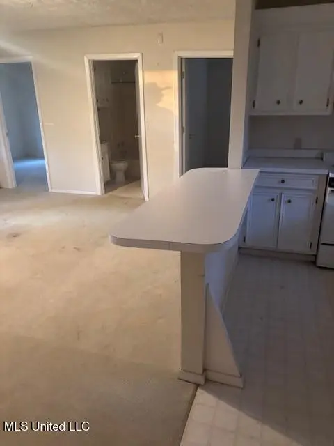 2003 Rocky Creek Road, Morton, MS 39117 - Image #3