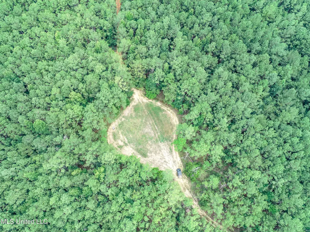 222 Beaverdam Road, Camden, MS 39045 - Image #1