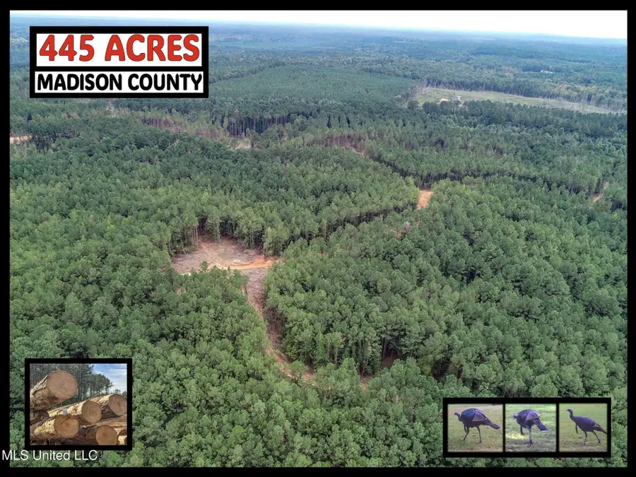 222 Beaverdam Road, Camden, MS 39045 - Image #2