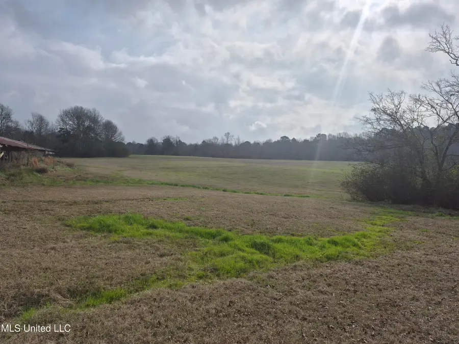 Pine Grove Road, Walnut Grove, MS 39189 - Image #2